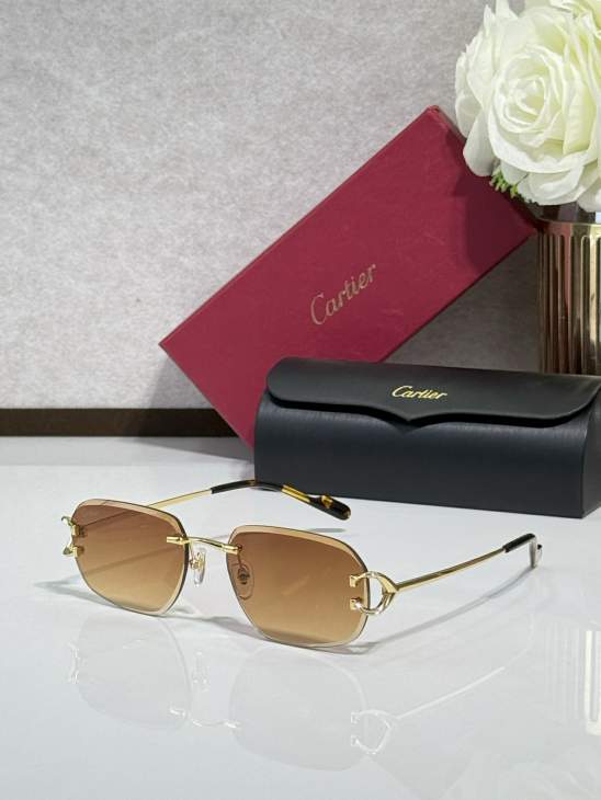 Picture of Cartier Sunglasses _SKUfw77816361fw